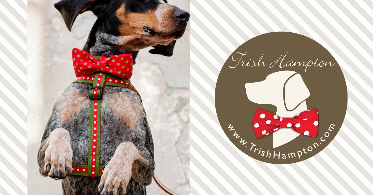 Size Chart for Dog Collars Harnesses Bandanas from Trish Hampton