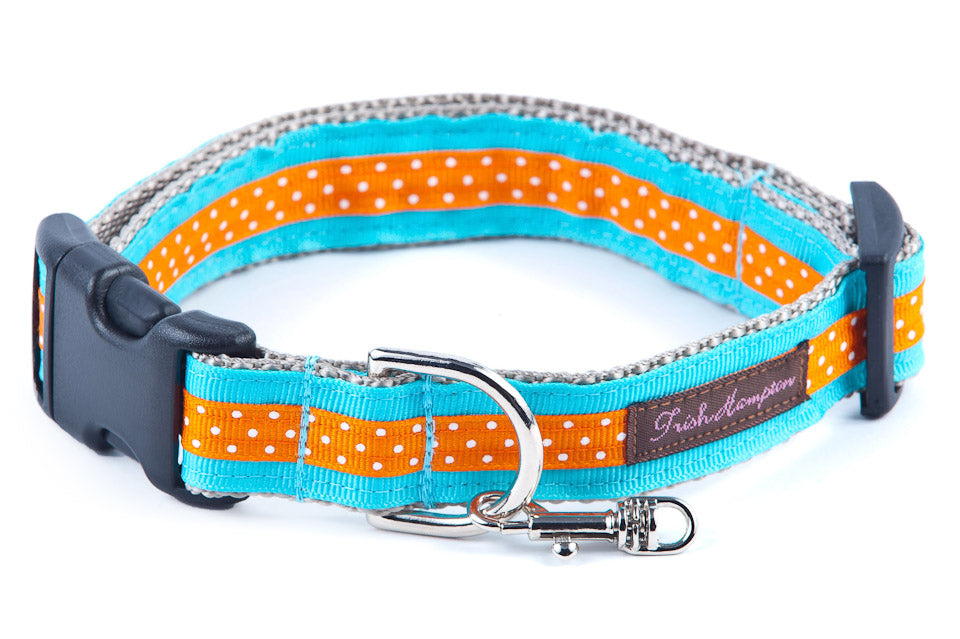 Aqua/Orange Dog Collar