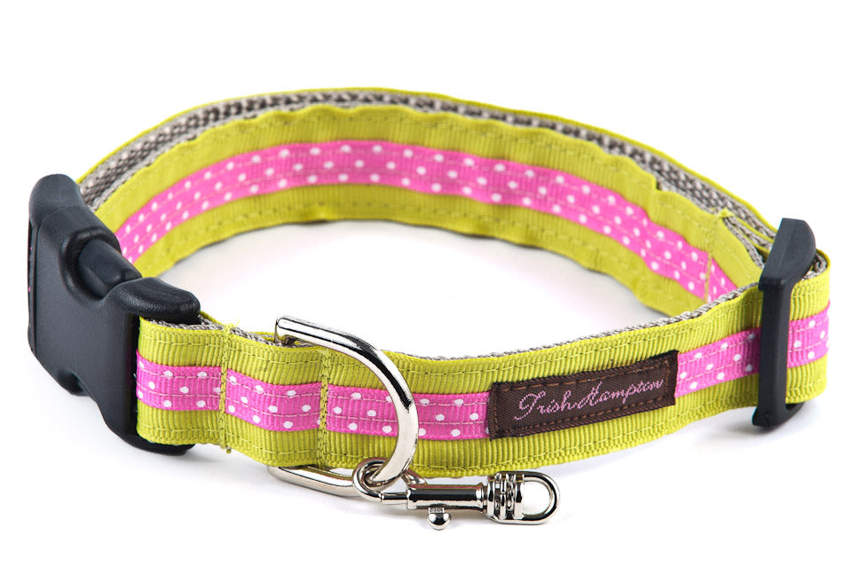 Lime/Hot Pink Mini Polka Dog Collar