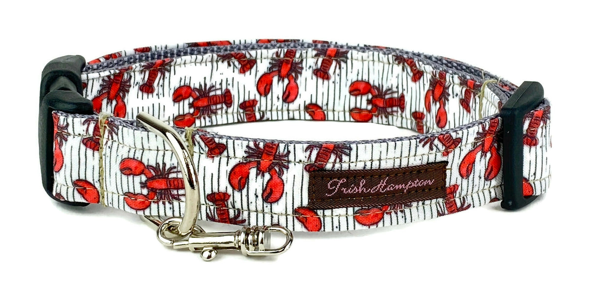 Trish hampton hot sale dog collars