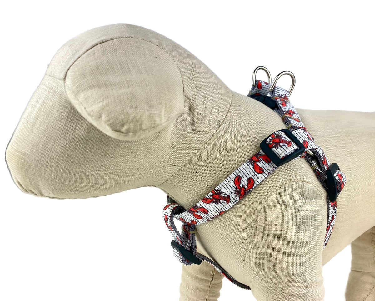 Red Lobsters Dog Harness in USATrish Hampton