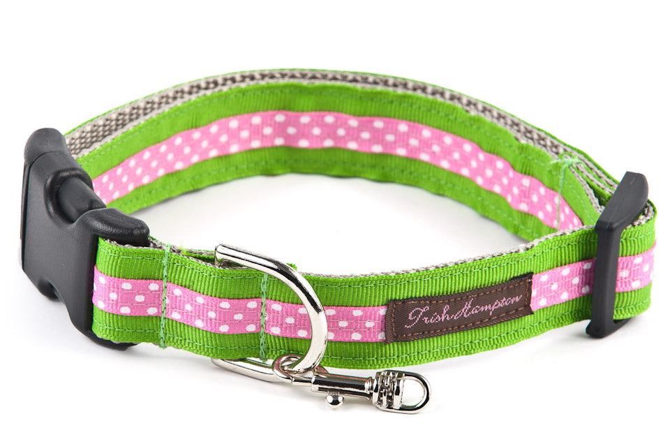 Apple Green/Hot Pink Dog Collar