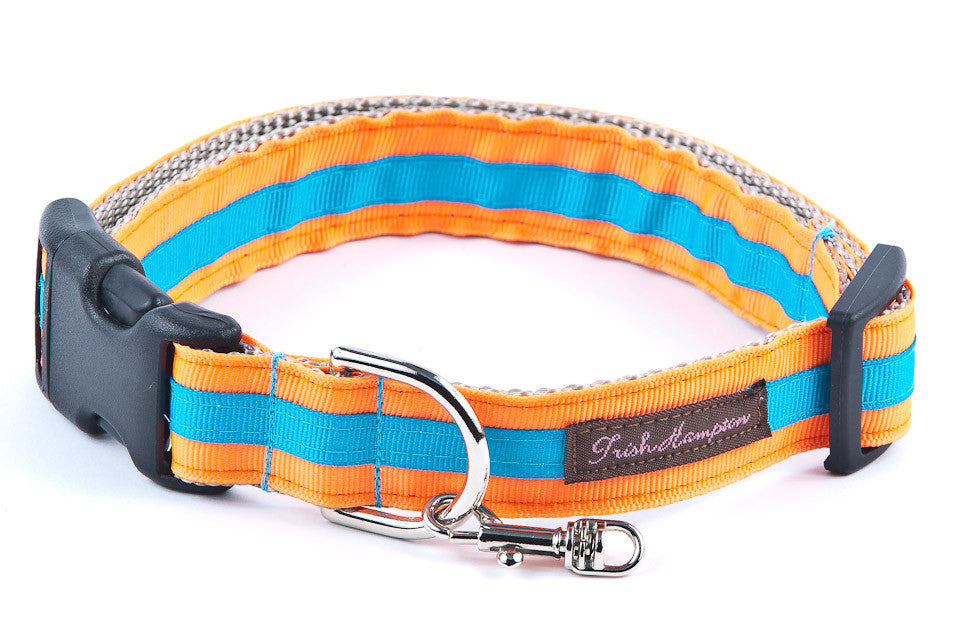 Dog Collars for Sale 