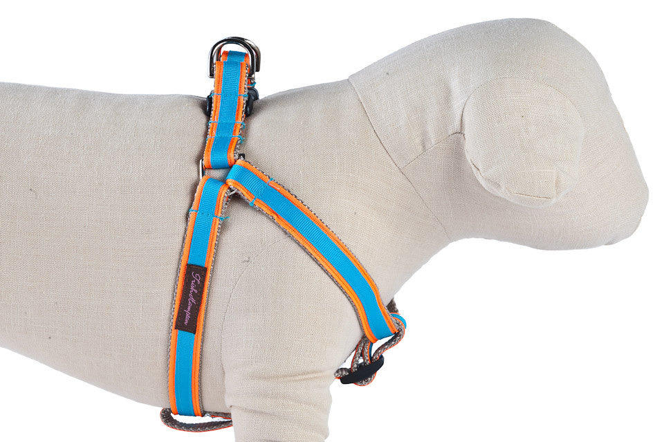 Neon Orange/Aqua Stripe Dog Harness
