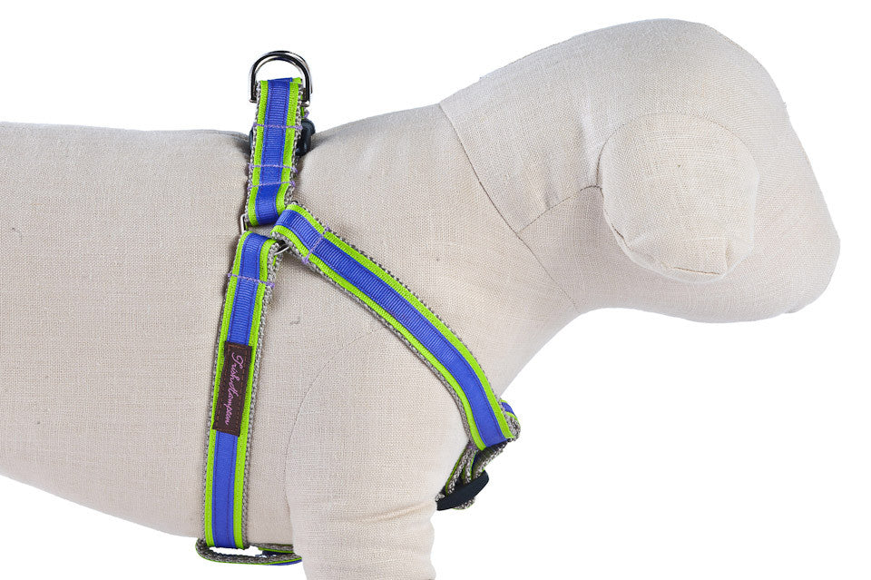 Neon Green/Purple Stripe Sale Dog Harness
