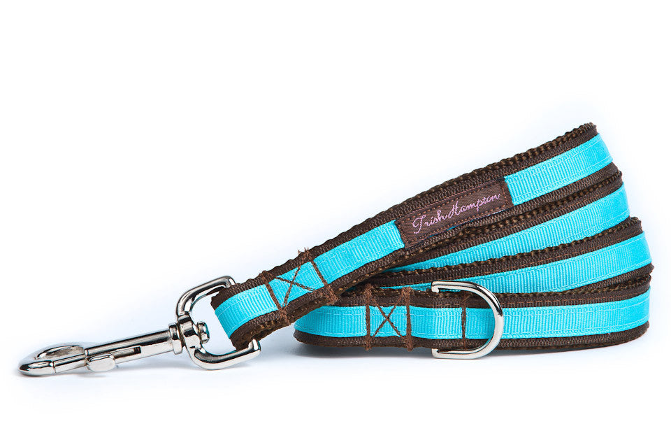 Chocolate/Turquoise Stripe 6ft Dog Leash-Long Dog Leash