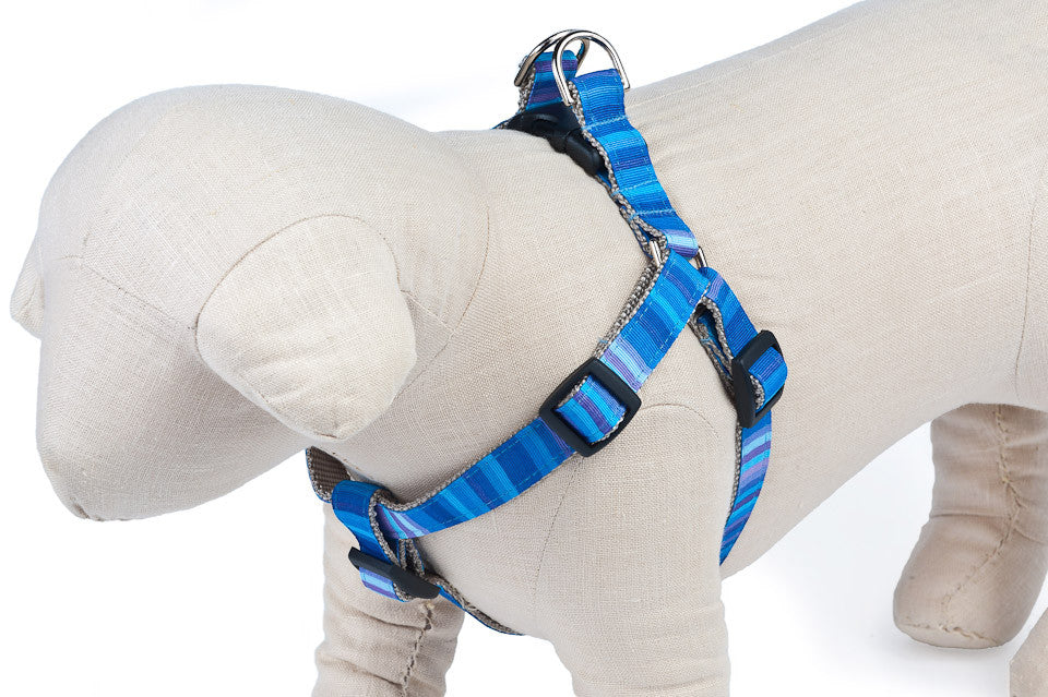 Blue Dog Harness