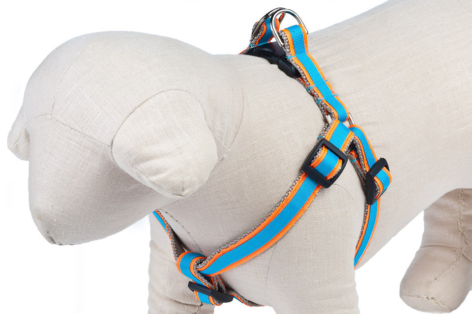 Neon Orange/Aqua Stripe Sale Dog Harness